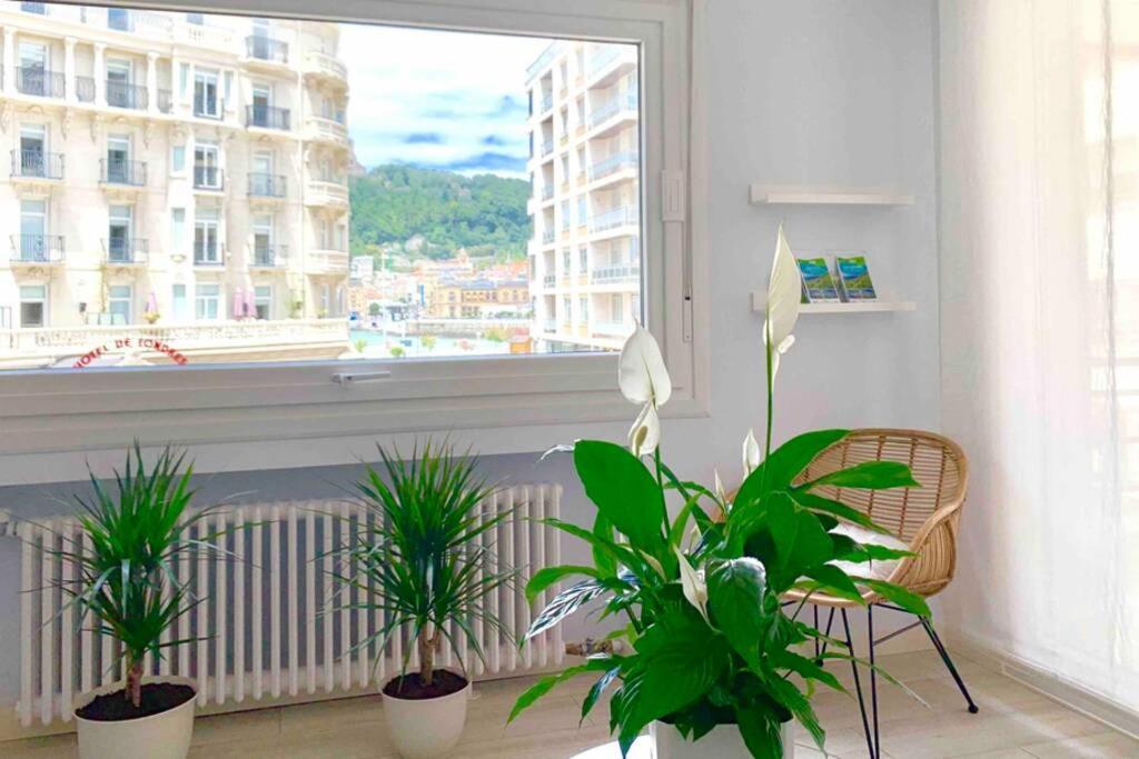 New Gorgeous Central Apartment - Beachfront - 3 Bd San Sebastián Exteriör bild